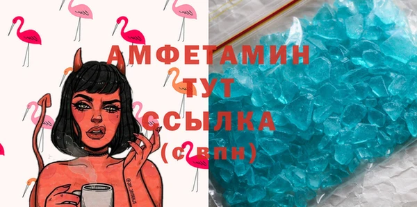 шишки Абаза