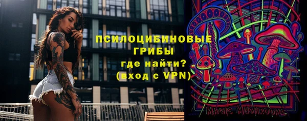 шишки Абаза