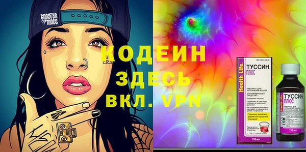 шишки Абаза